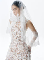 Load image into Gallery viewer, Lace Trim Wedding Veil