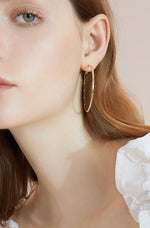 Load image into Gallery viewer, Large Twist Loop Earrings