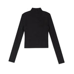 Load image into Gallery viewer, Sheer Panel High Neck Top in Black