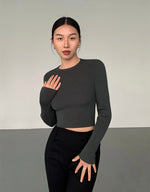Load image into Gallery viewer, Ribbed Cropped Long Sleeve Top in Grey