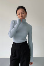 Load image into Gallery viewer, Ribbed Foldover Turtleneck Top in Blue