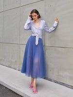 Load image into Gallery viewer, Nani Pleated Sheer A-Line Skirt in Blue