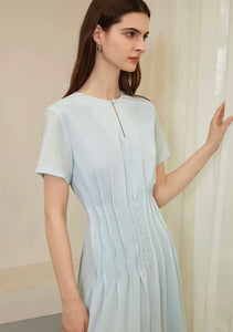 Button Pleat Dress in Blue