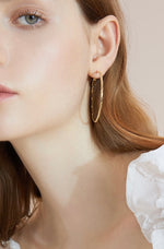 Load image into Gallery viewer, Large Twist Loop Earrings
