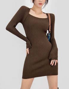 Ribbed Knit Mini Bodycon Dress in Brown