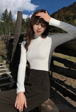 Load image into Gallery viewer, Ribbed Panel High Neck Top in White
