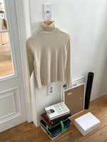 Load image into Gallery viewer, Korean Soft Turtleneck Top [3 Colours]
