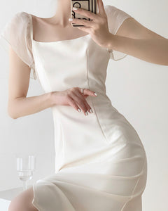 Sheer Sleeve Shift Dress [2 Colours]