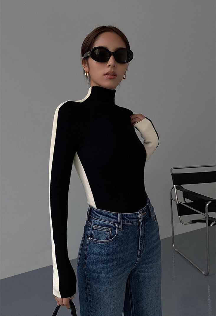 Duo Tone Turtleneck Top [2 Colours]