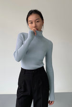 Load image into Gallery viewer, Ribbed Foldover Turtleneck Top in Blue
